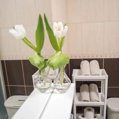 Family Cosy Apartmen Mostar